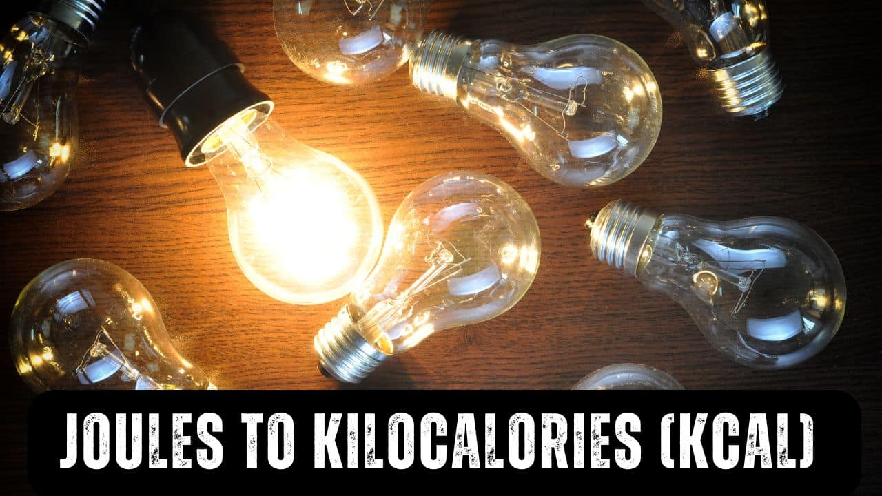 Joules to kilocalories (kcal) calculator