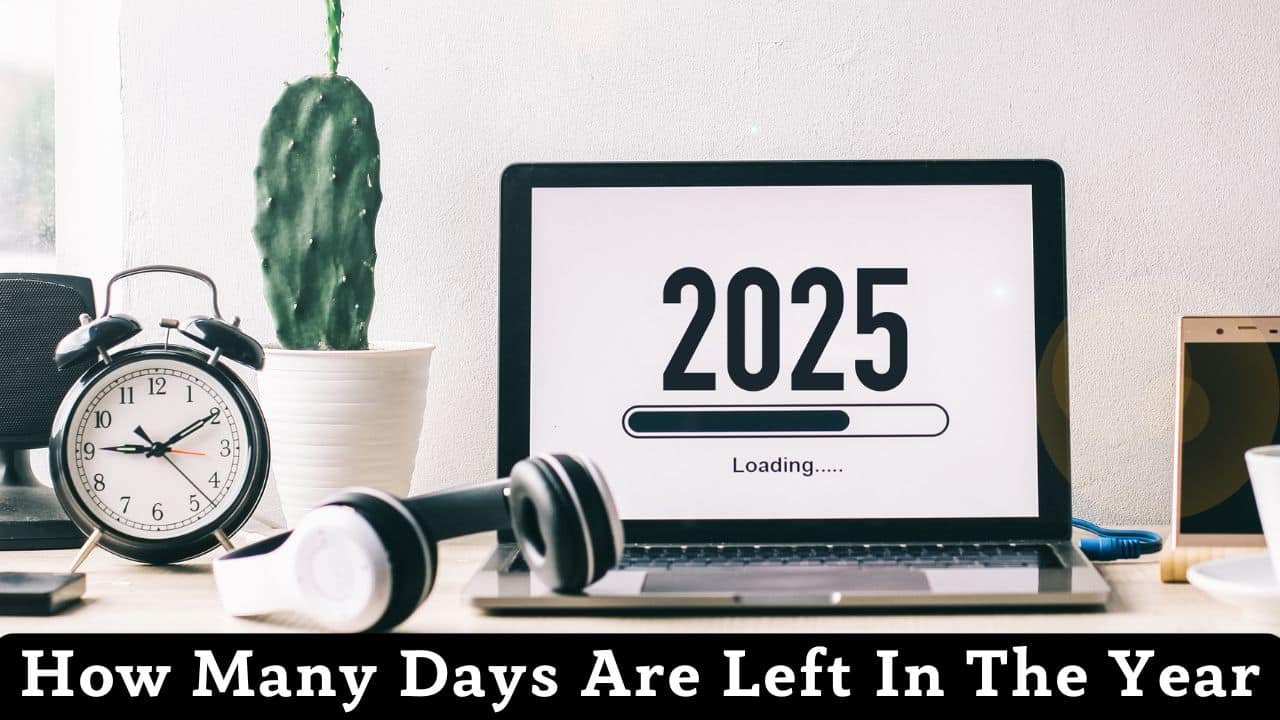 How Many Days Are Left In This Year