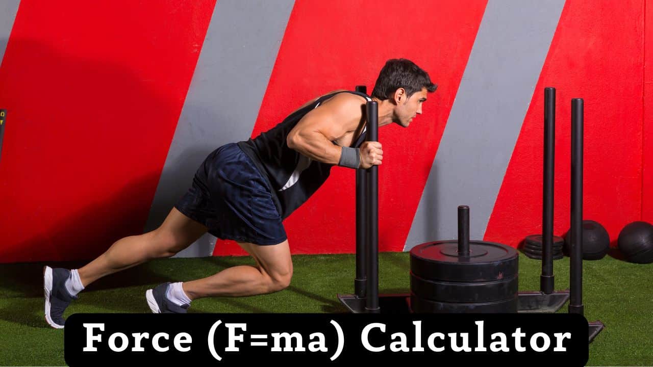 Force (F=ma) Calculator