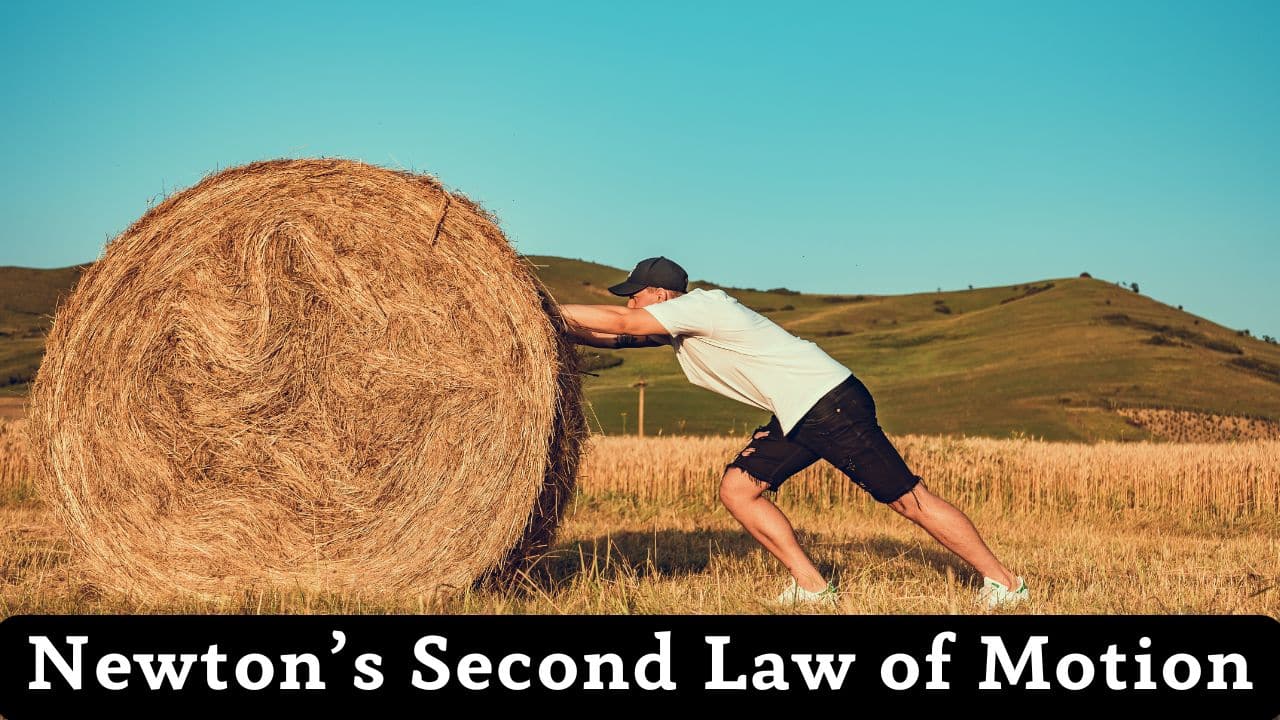 Newton's Second Law Calculator