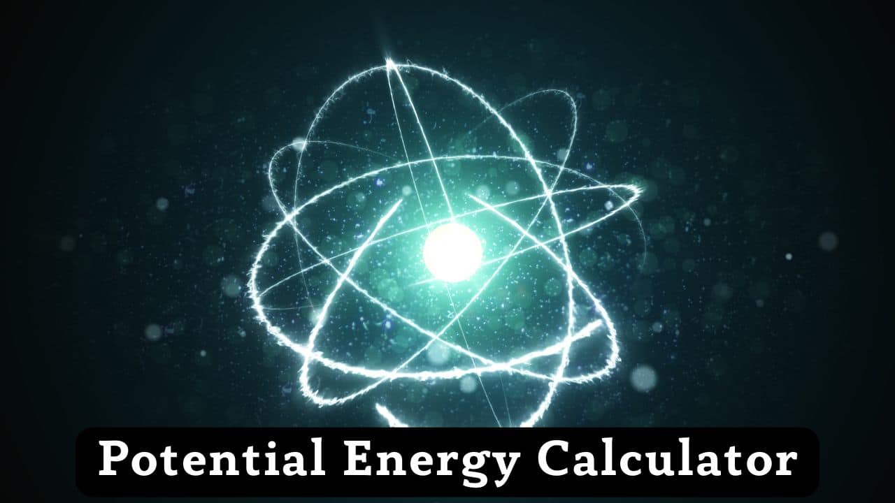 Potential Energy Calculator